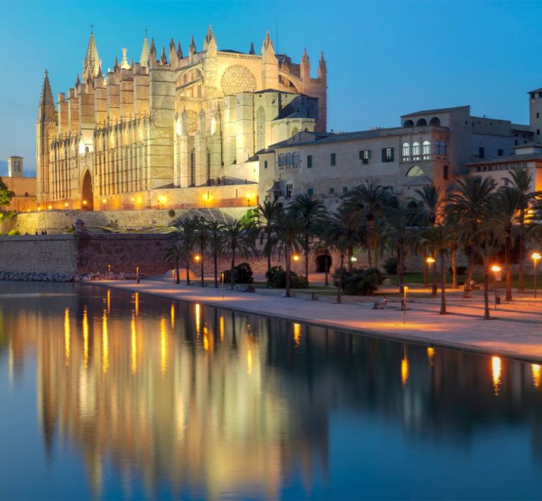 Tour casco antiguo Palma con guía privado con explicación frente a la catedral
