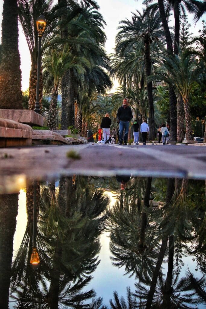 Servicio privado con chófer y fotógrafo en Mallorca